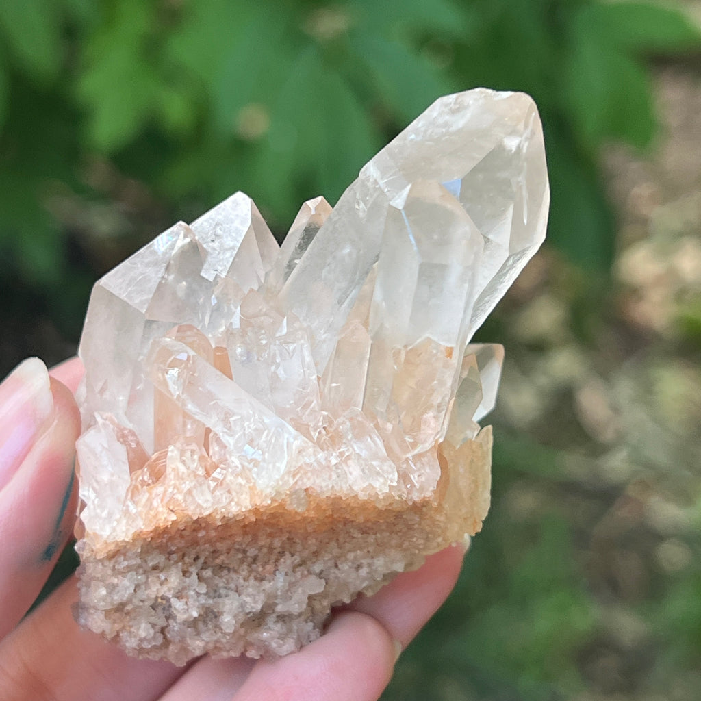 Cluster cuart incolor, floare de mina m19, pietre semipretioase - druzy.ro 5 