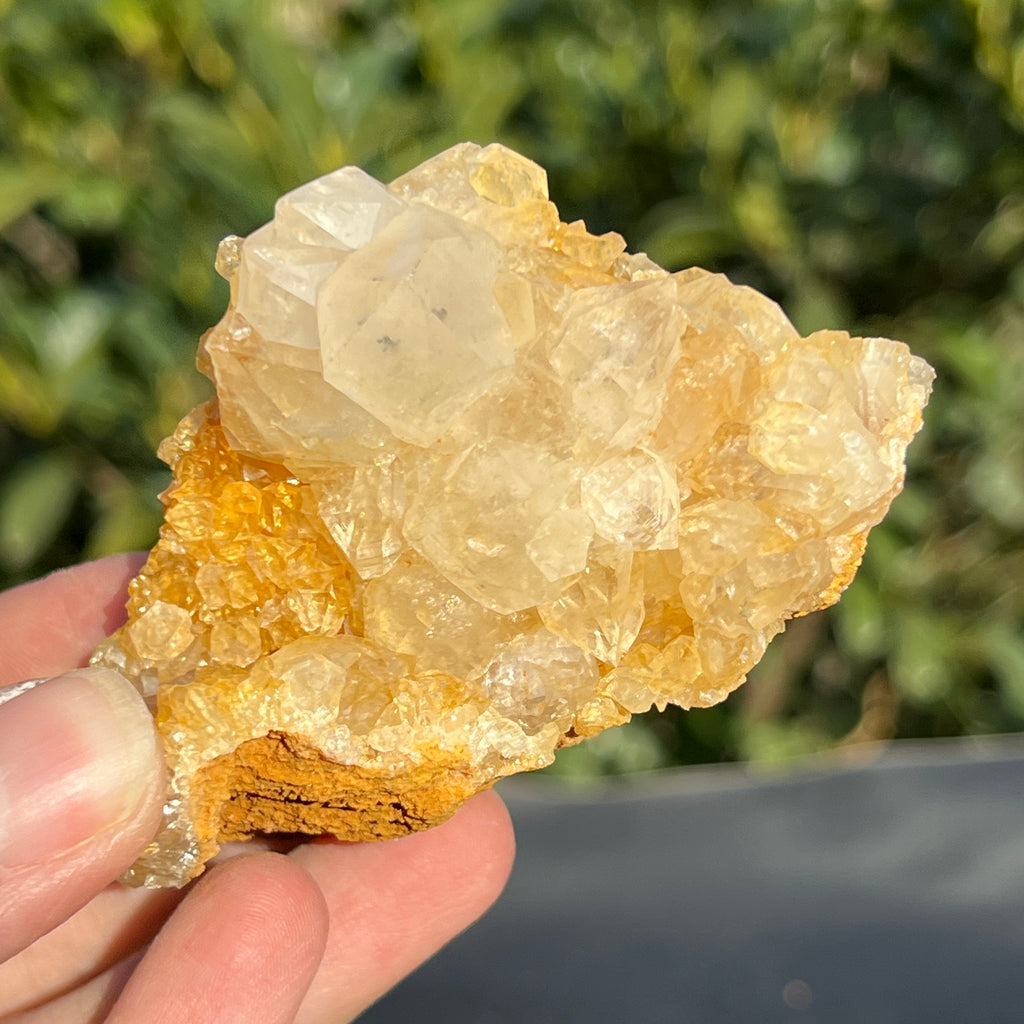 Cluster cuart lamaie Zambia, golden healer model 47, pietre semipretioase - druzy.ro 4 