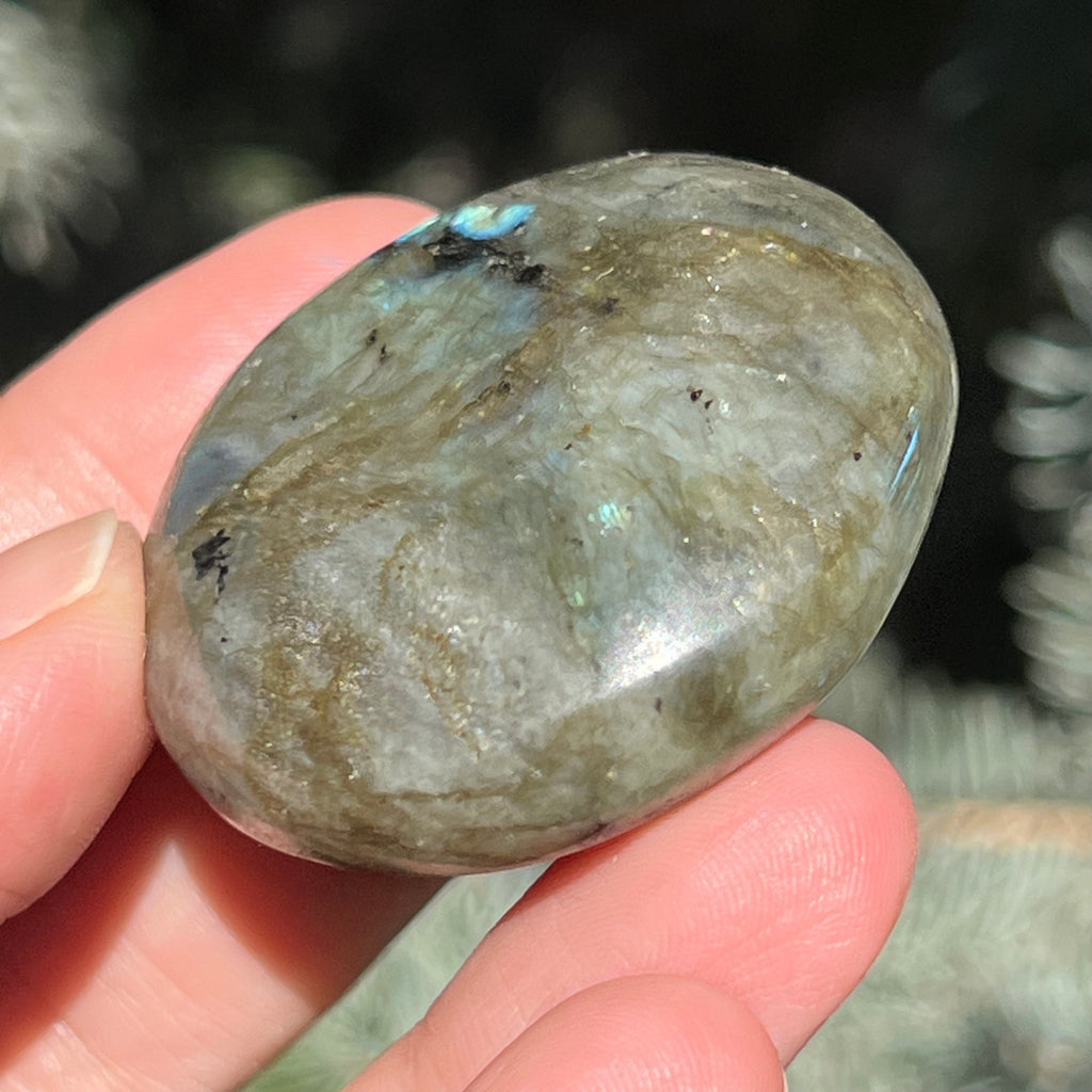 Labradorit palm stone m21, druzy.ro, cristale 4
