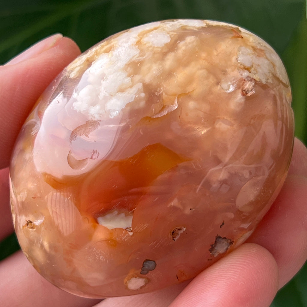 Palmstone agat coral floare rosu m28, pietre semipretioase - druzy.ro 2 