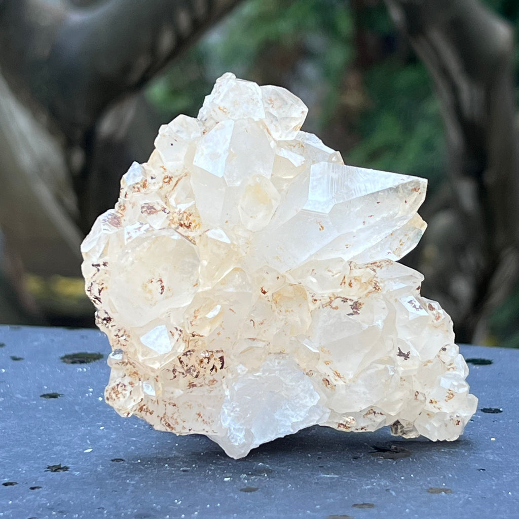 Cluster cuart incolor, floare de mina, cristal de stanca Zimbabwe m9, druzy.ro, cristale 1
