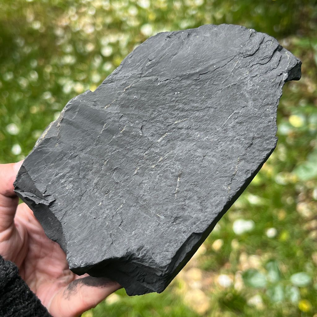 Shungit piatra bruta XXL model 6, pietre semipretioase - druzy.ro 3 