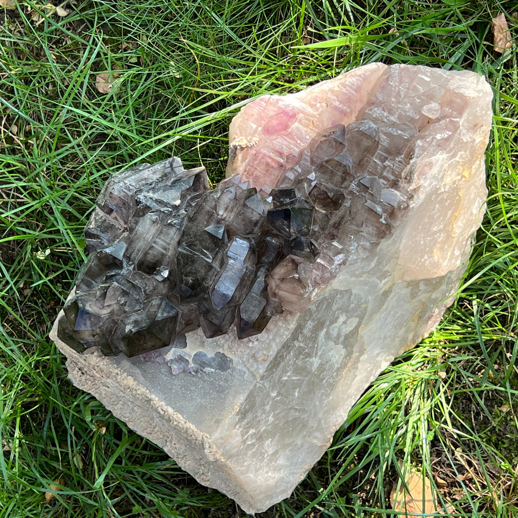Specimen cluster cuart fumuriu mina Brandberg m8, pietre semipretioase - druzy.ro 1 