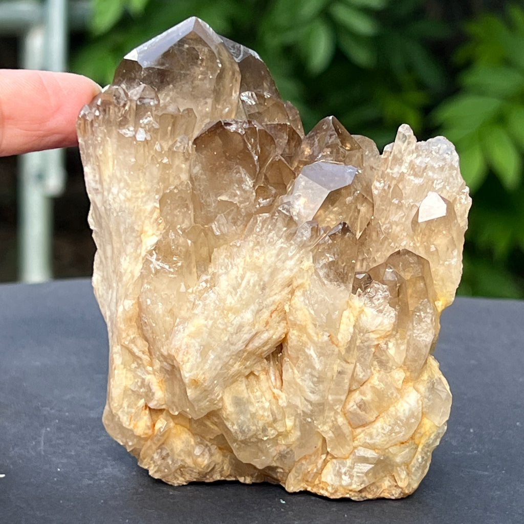 Citrin fumuriu din Congo – specimen natural, netratat | Model 5, pietre semipretioase - druzy.ro 4 