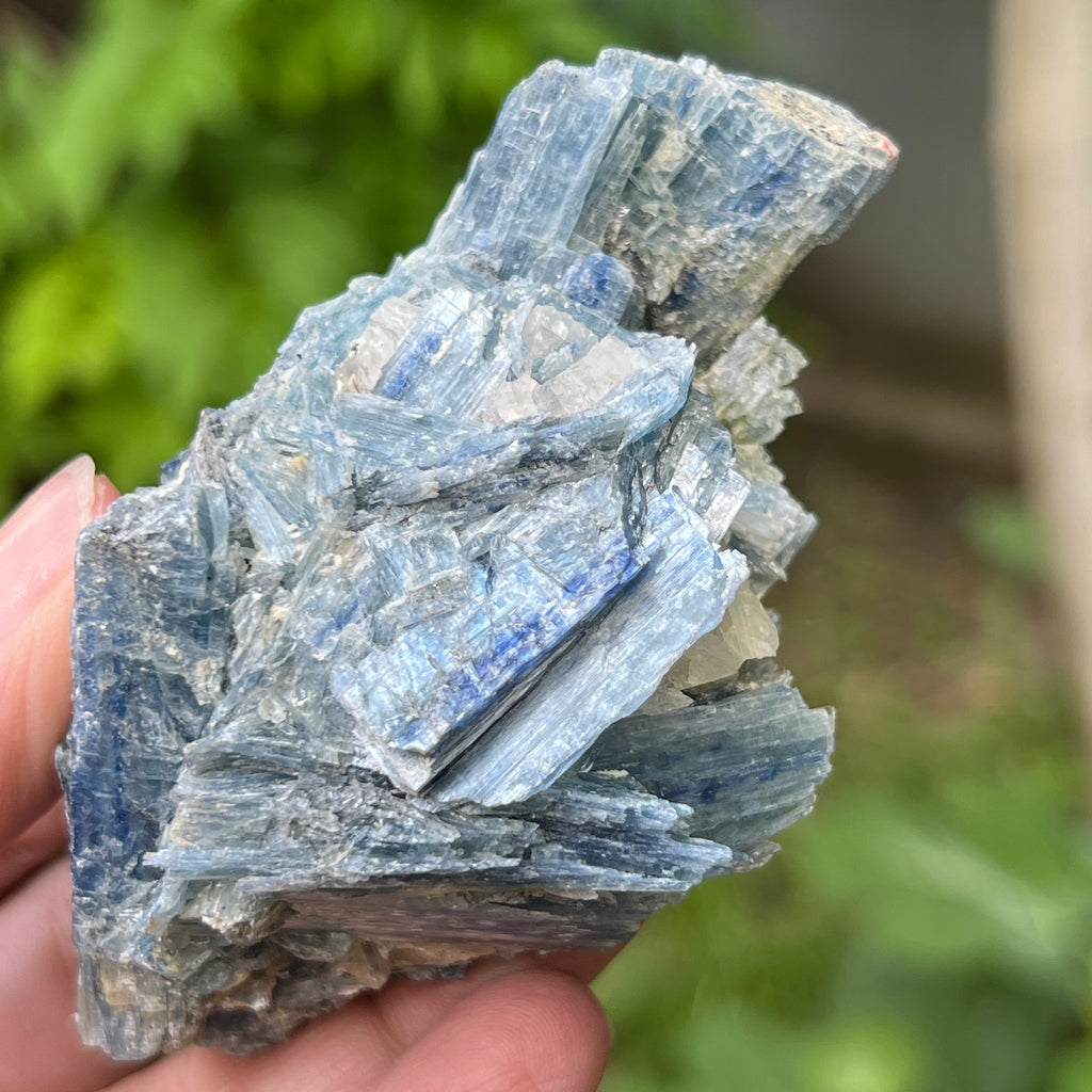 Kianit albastru (Cianit) piatra bruta din Zimbabwe model 13, pietre semipretioase - druzy.ro 7 