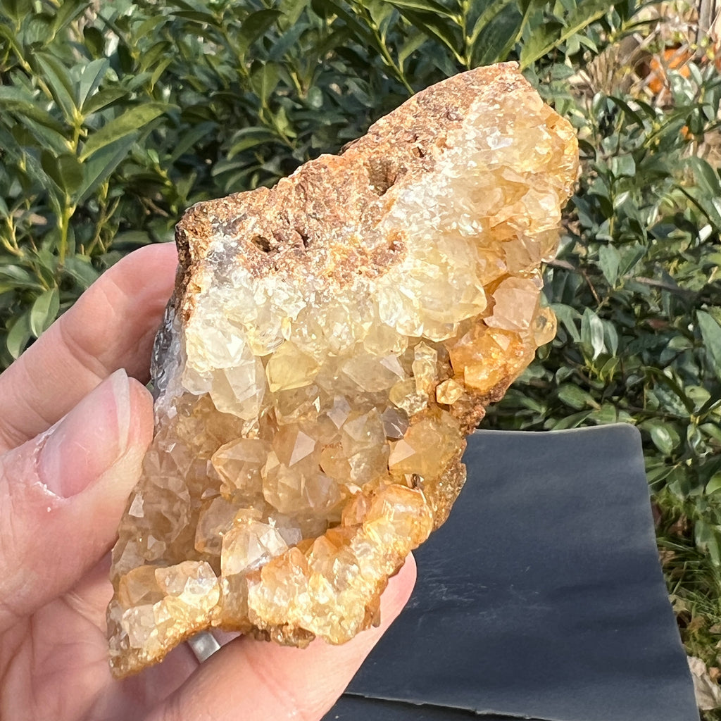 Cluster cuart lamaie Zambia, golden healer model 56, pietre semipretioase - druzy.ro 12 