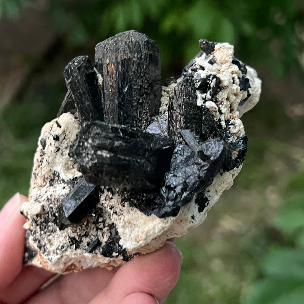 Cluster turmalina neagra model 1 din Erongo, Namibia, pietre semipretioase - druzy.ro 2 