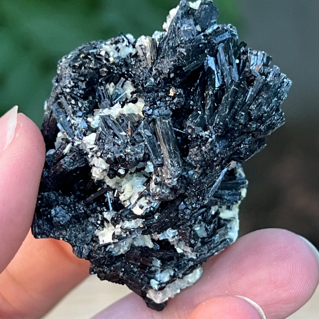 Cluster turmalina neagra cu vermiculita din Erongo m5, pietre semipretioase - druzy.ro 2 