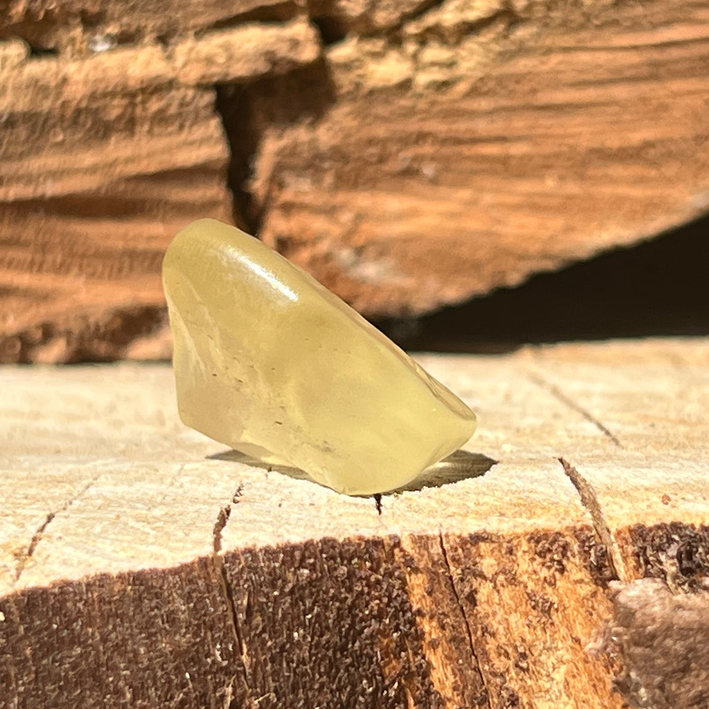 Tectita aurie, sticla desertului Libia piatra bruta model 1, calitate AAA, pietre semipretioase - druzy.ro 4 