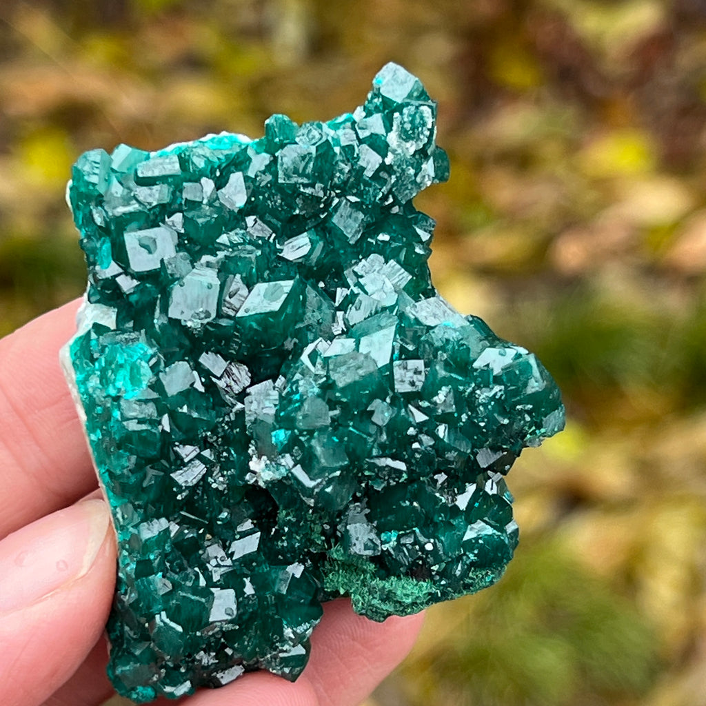 Dioptaz cluster din Congo model 7, pietre semipretioase - druzy.ro 7 