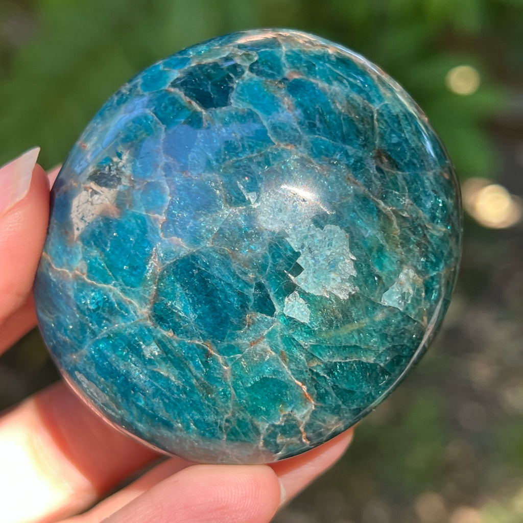 Apatit rulat palmstone | Model 18, pietre semipretioase - druzy.ro 1 