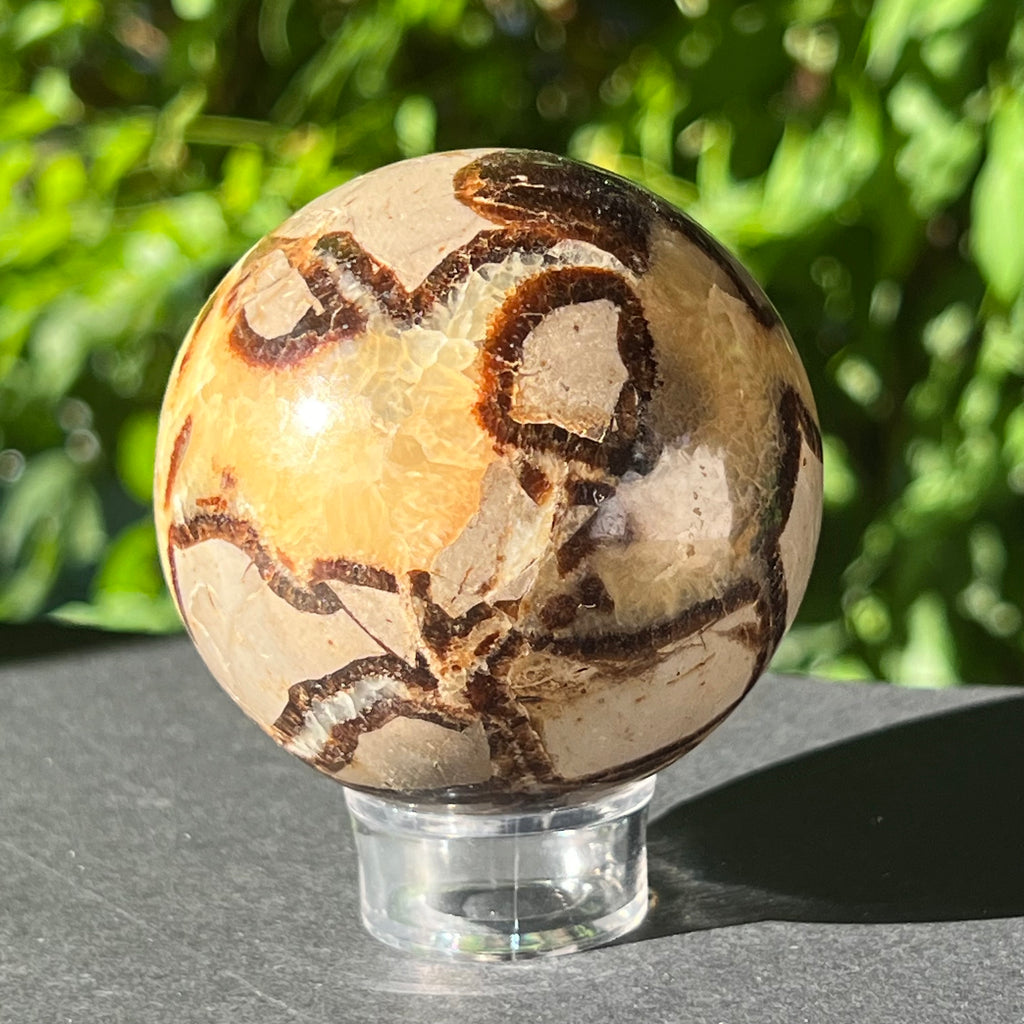 Septaria sfera 6.5 cm model 3, druzy.ro, cristale 3