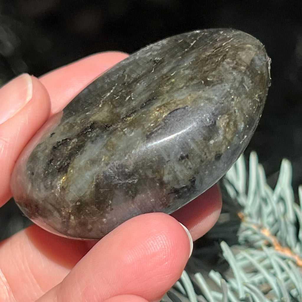 Labradorit palm stone m7, druzy.ro, cristale 6