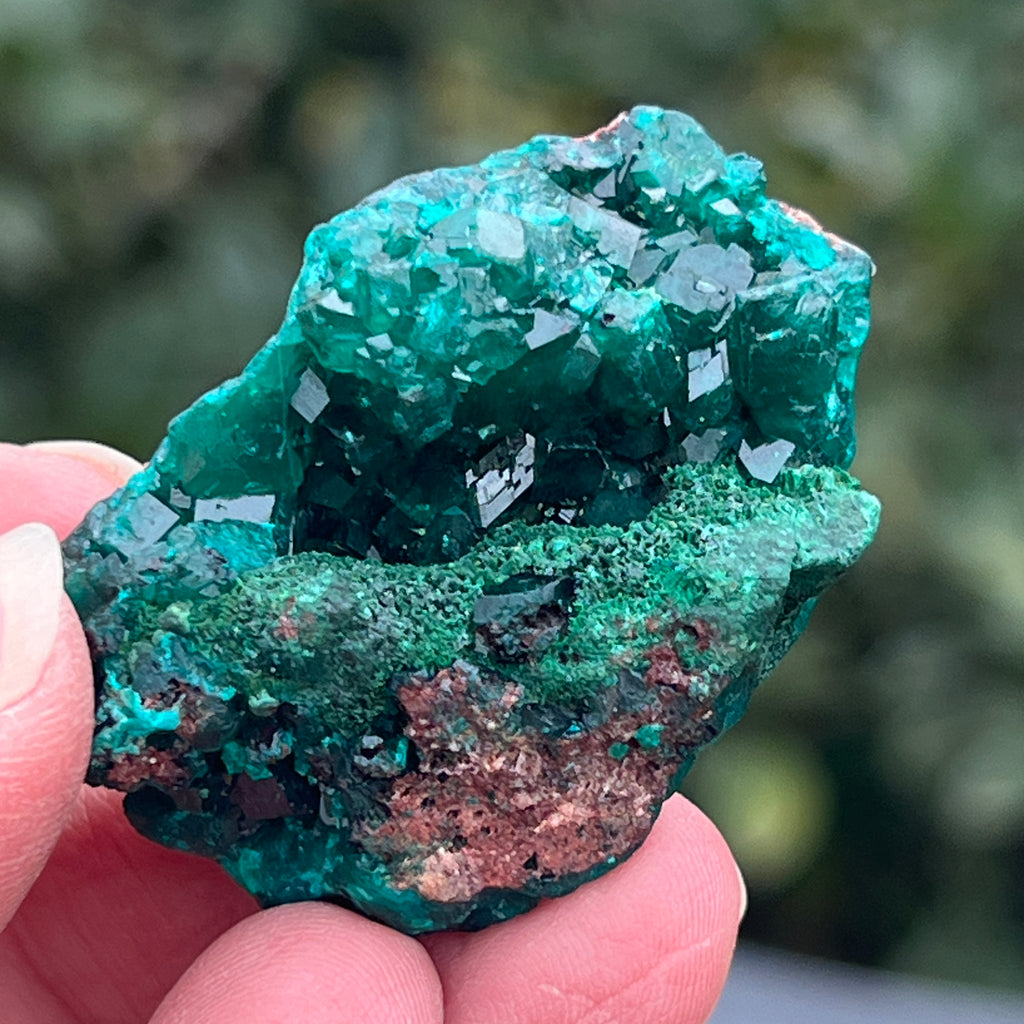 Dioptaz cluster din Congo model 13, pietre semipretioase - druzy.ro 1 