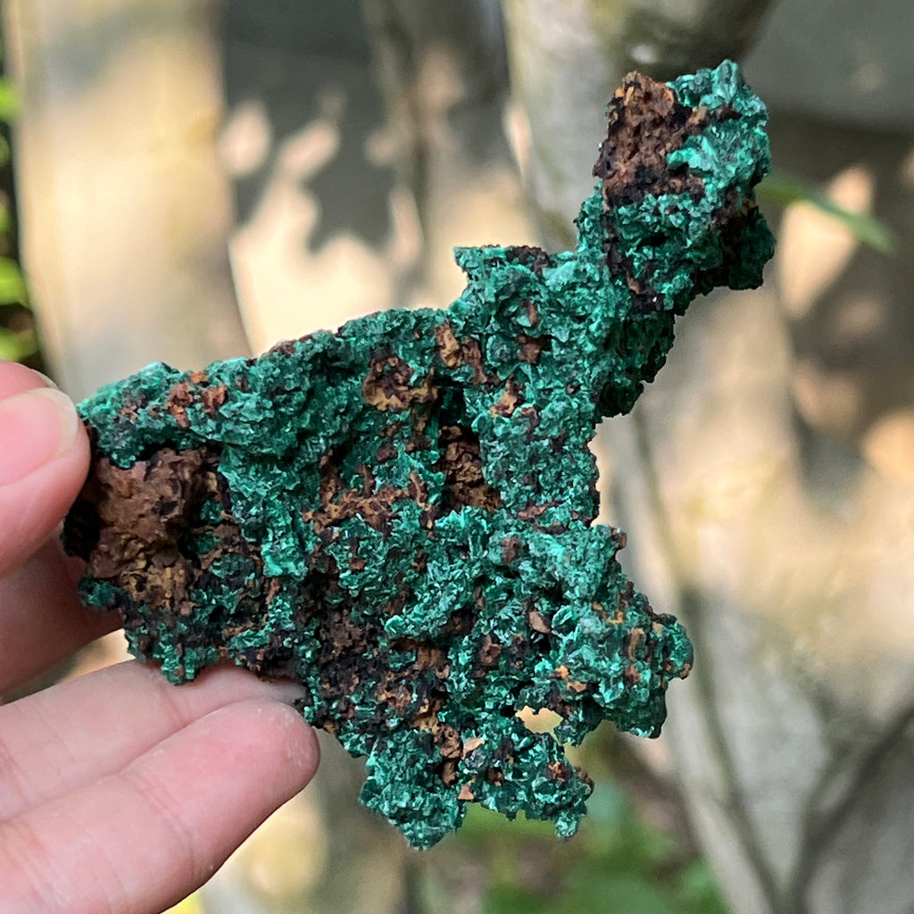 Malachit matasos piatra bruta m12, pietre semipretioase - druzy.ro 8 