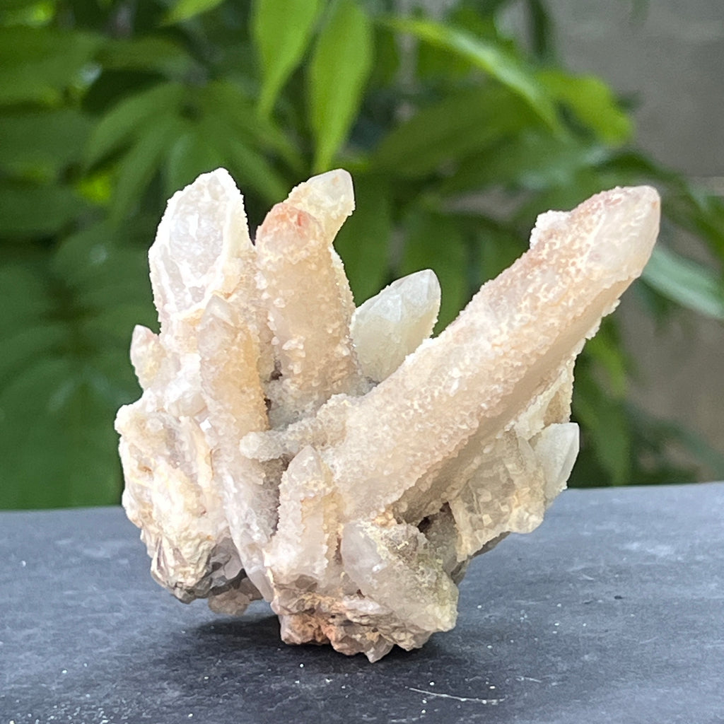 Cluster cuart spirit stalactit | Model 3, pietre semipretioase - druzy.ro 3 