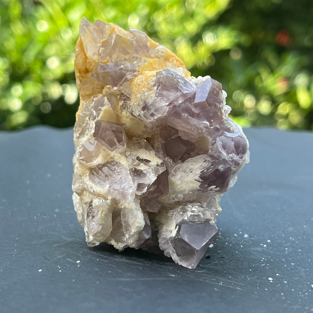 Cluster ametist sweet model 5a/5, din Zambia, pietre semipretioase - druzy.ro 6