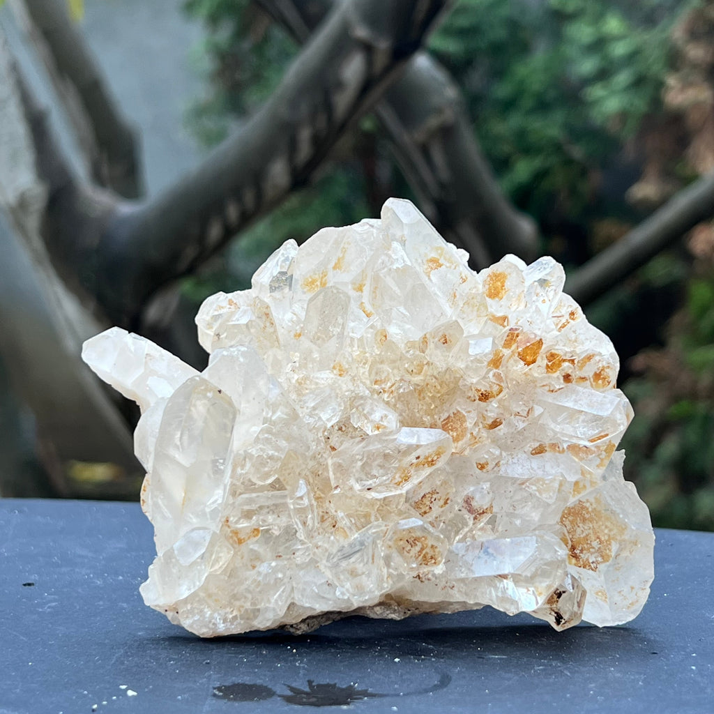 Cluster cuart incolor, floare de mina, cristal de stanca Zimbabwe m2, druzy.ro, cristale 3