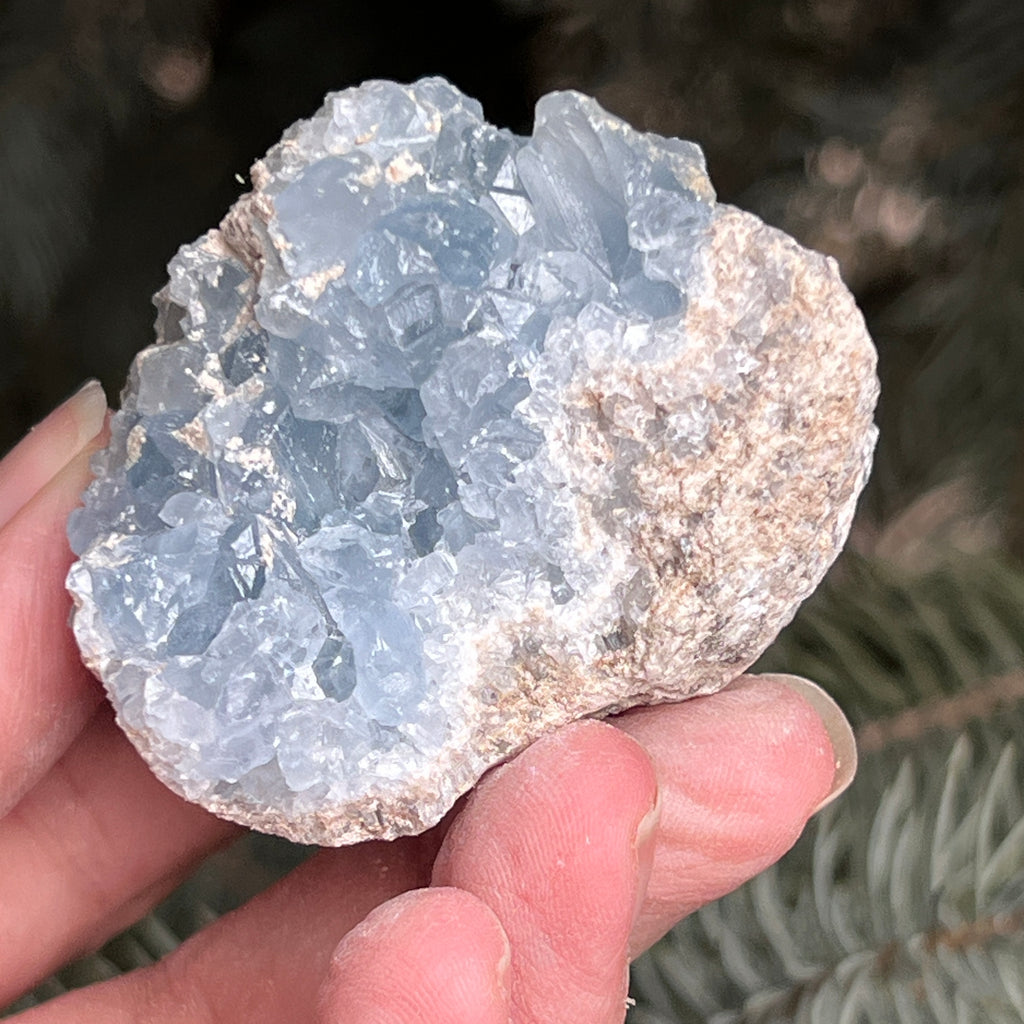 Celestit / celestina cluster m8, pietre semipretioase - druzy.ro 1 