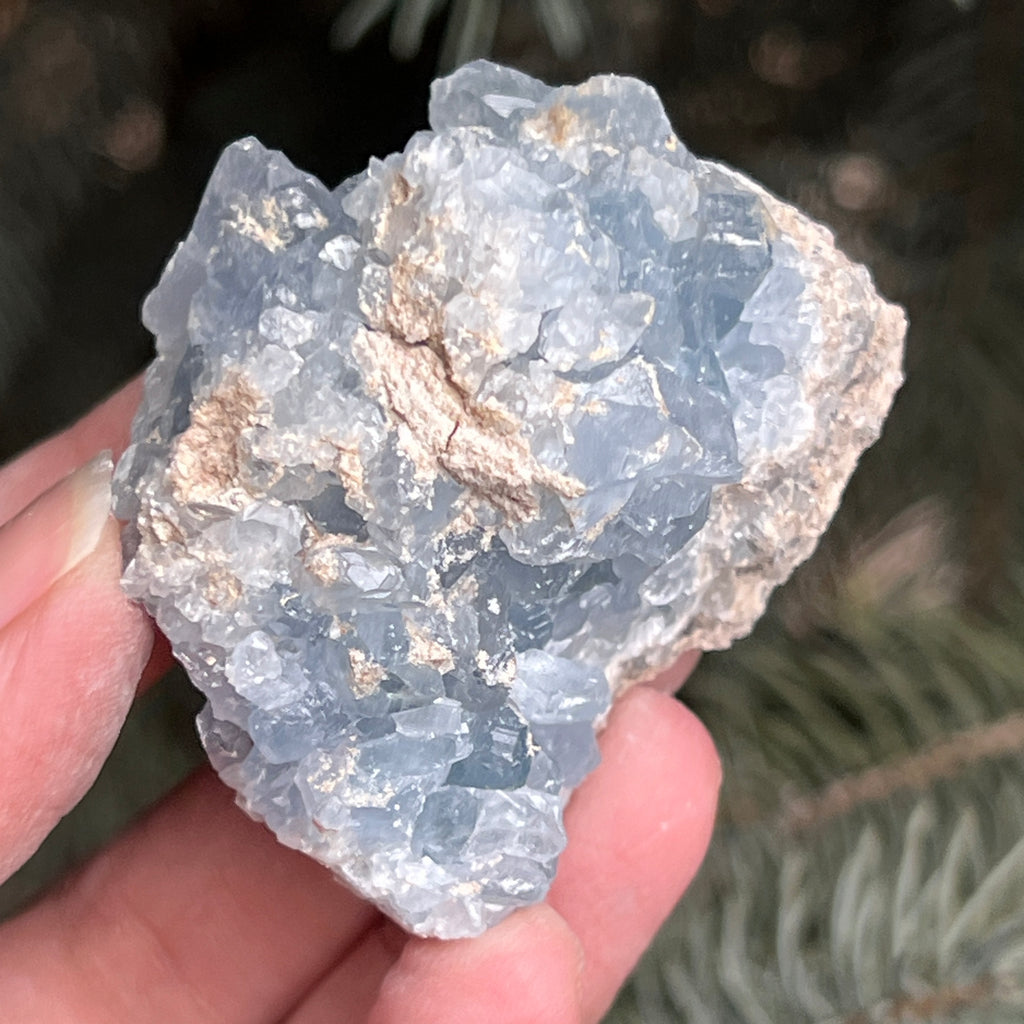 Celestit / celestina cluster m8, pietre semipretioase - druzy.ro 8 