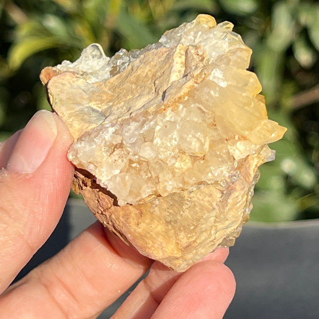 Cluster cuart lamaie Zambia, golden healer model 44, pietre semipretioase - druzy.ro 9 