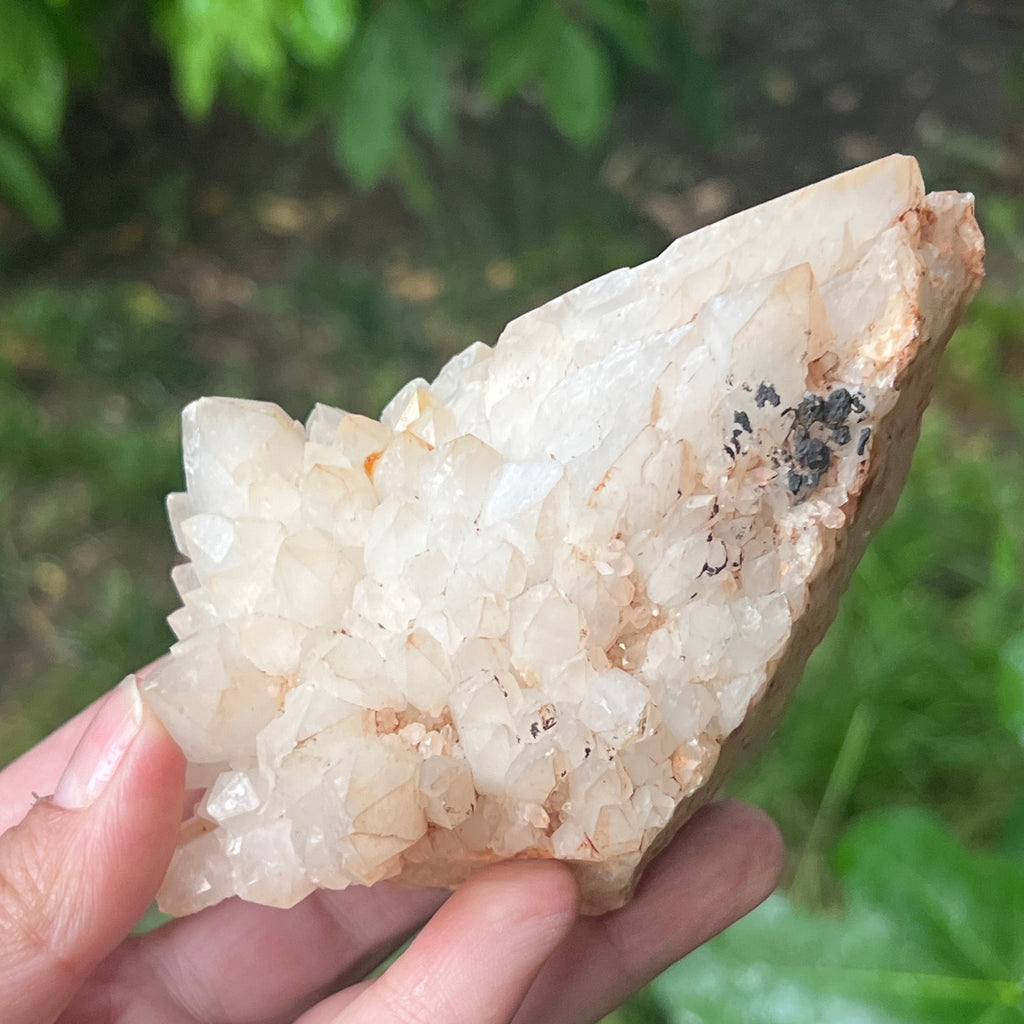 Varf cuart celest, cuart lumanare ( ananas) model 5, pietre semipretioase - druzy.ro 3 