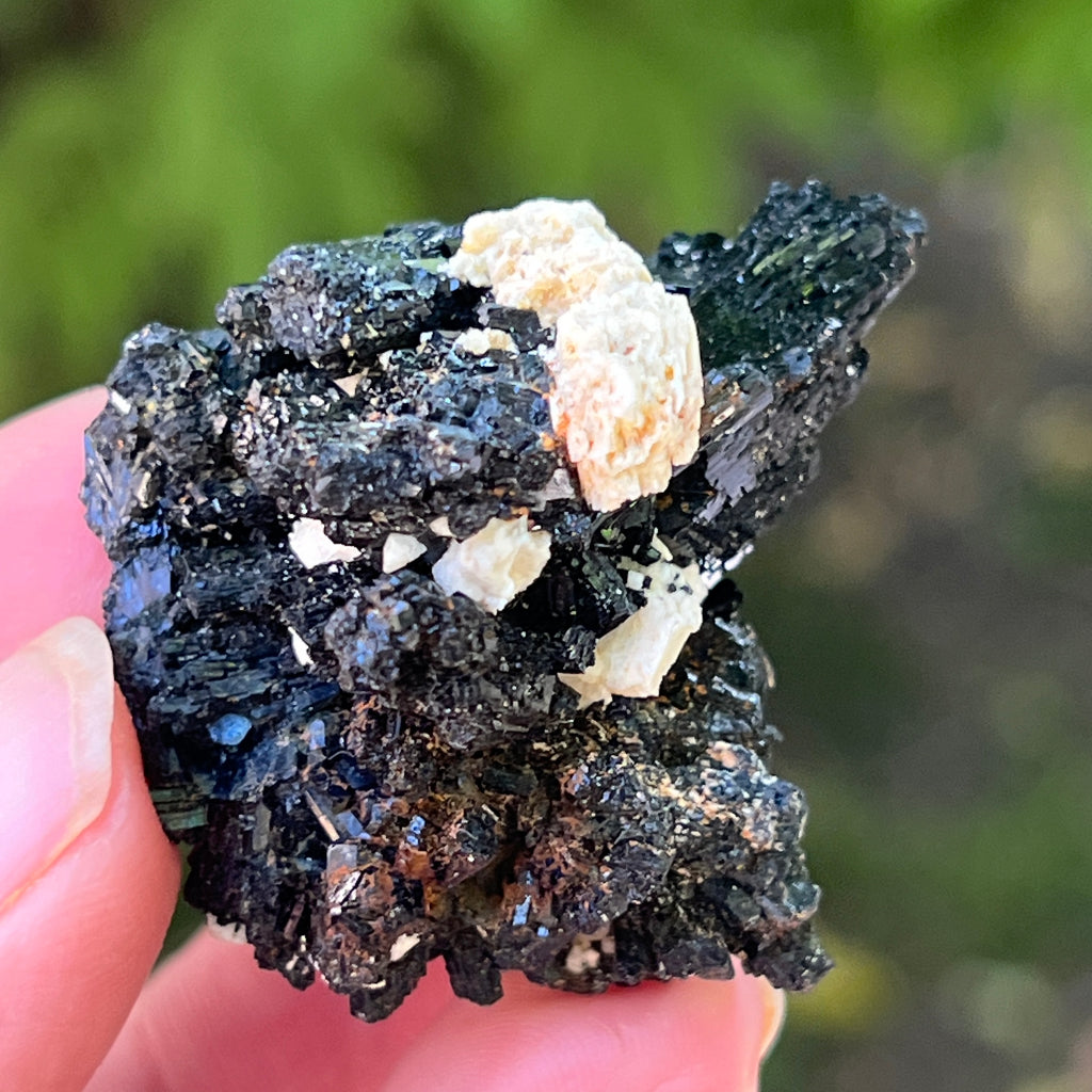 Cluster turmalina neagra model 13 din Erongo, Namibia, pietre semipretioase - druzy.ro 1 