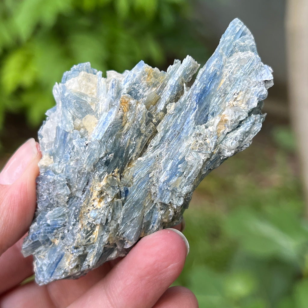 Kianit albastru (Cianit) piatra bruta din Zimbabwe model 13, pietre semipretioase - druzy.ro 3 