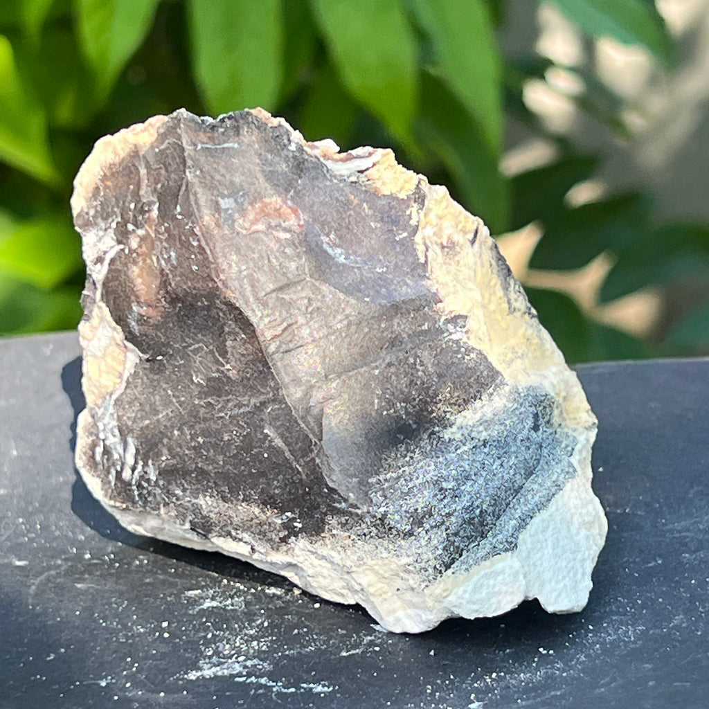 Onix negru piatra bruta India model 5, pietre semipretioase - druzy.ro 4 