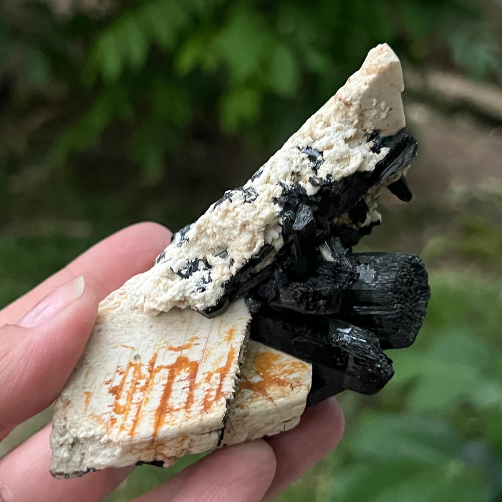Cluster turmalina neagra model 1 din Erongo, Namibia, pietre semipretioase - druzy.ro 6 