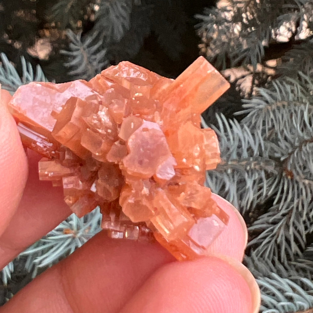 Cluster cristal aragonit din Maroc model 11, druzy.ro, pietre semipretioase 5