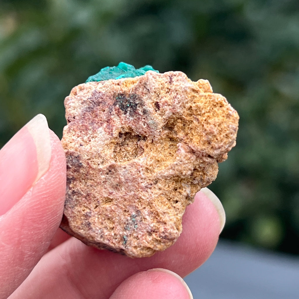 Dioptaz cluster din Congo model 37, pietre semipretioase - druzy.ro 4 