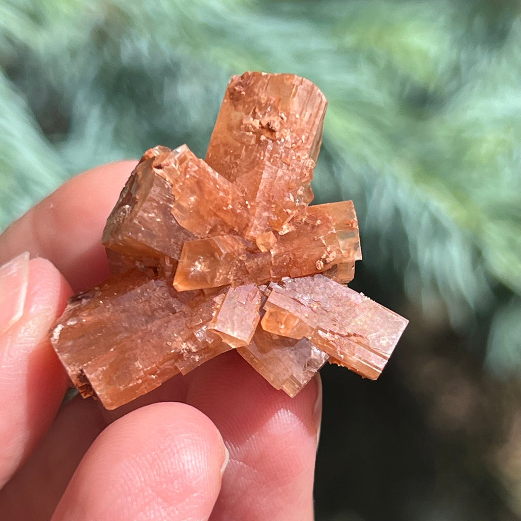 Cluster cristal aragonit din Maroc model 4, druzy.ro, cristale 1