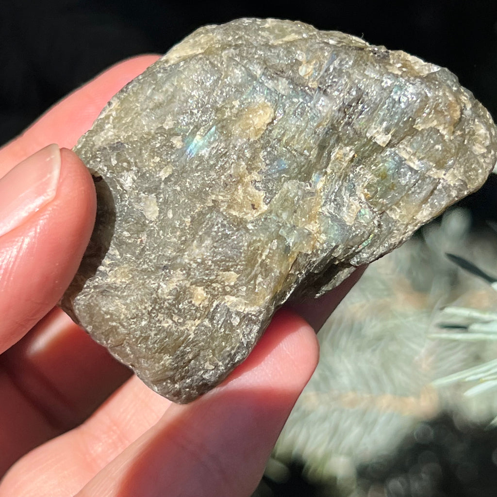 Labradorit piatra bruta polisata pe o fata e1, druzy.ro, cristale 7