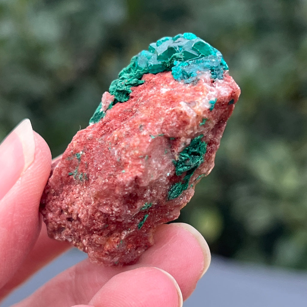 Dioptaz cluster din Congo model 27, pietre semipretioase - druzy.ro 4 