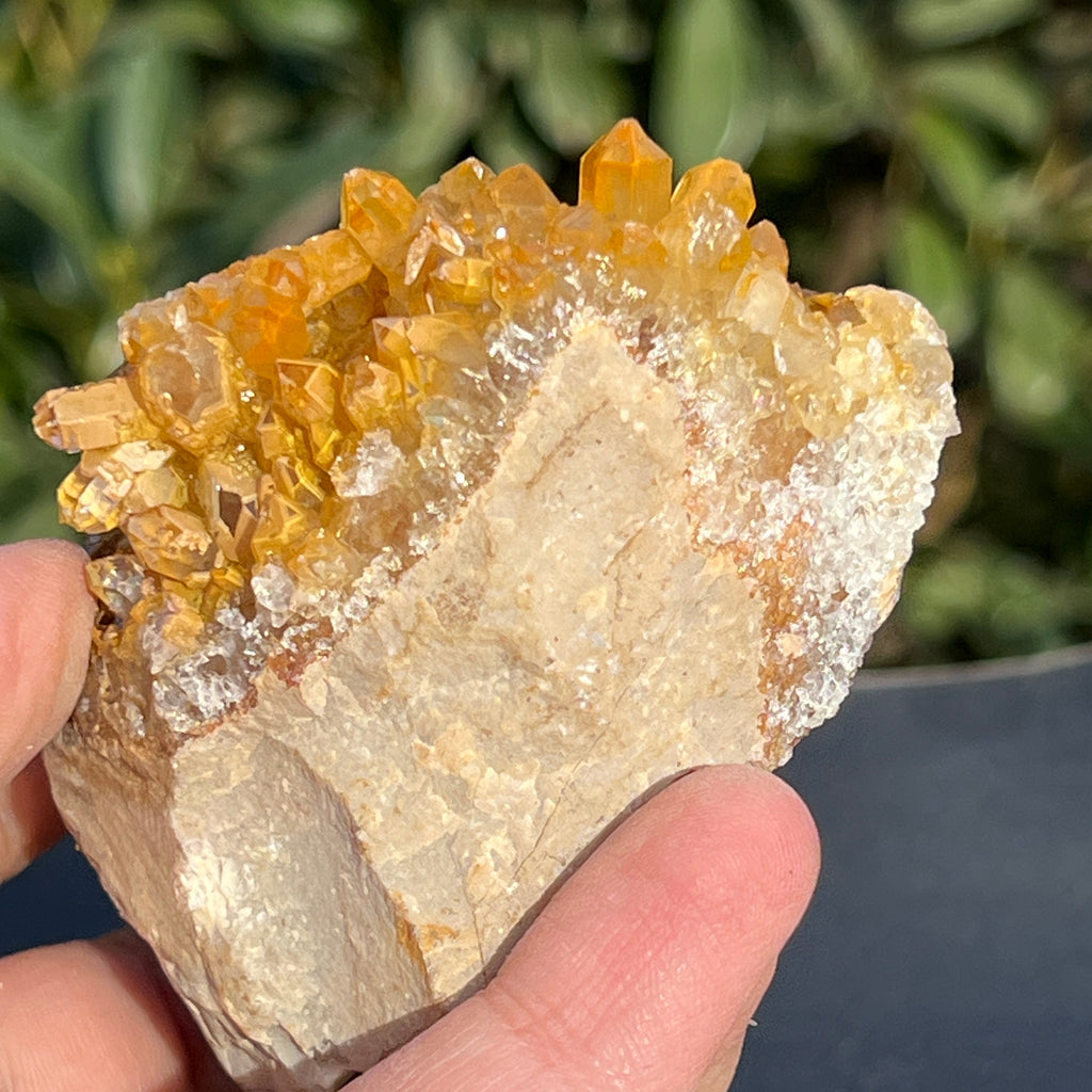 Cluster cuart lamaie Zambia, golden healer model 50, pietre semipretioase - druzy.ro 3 