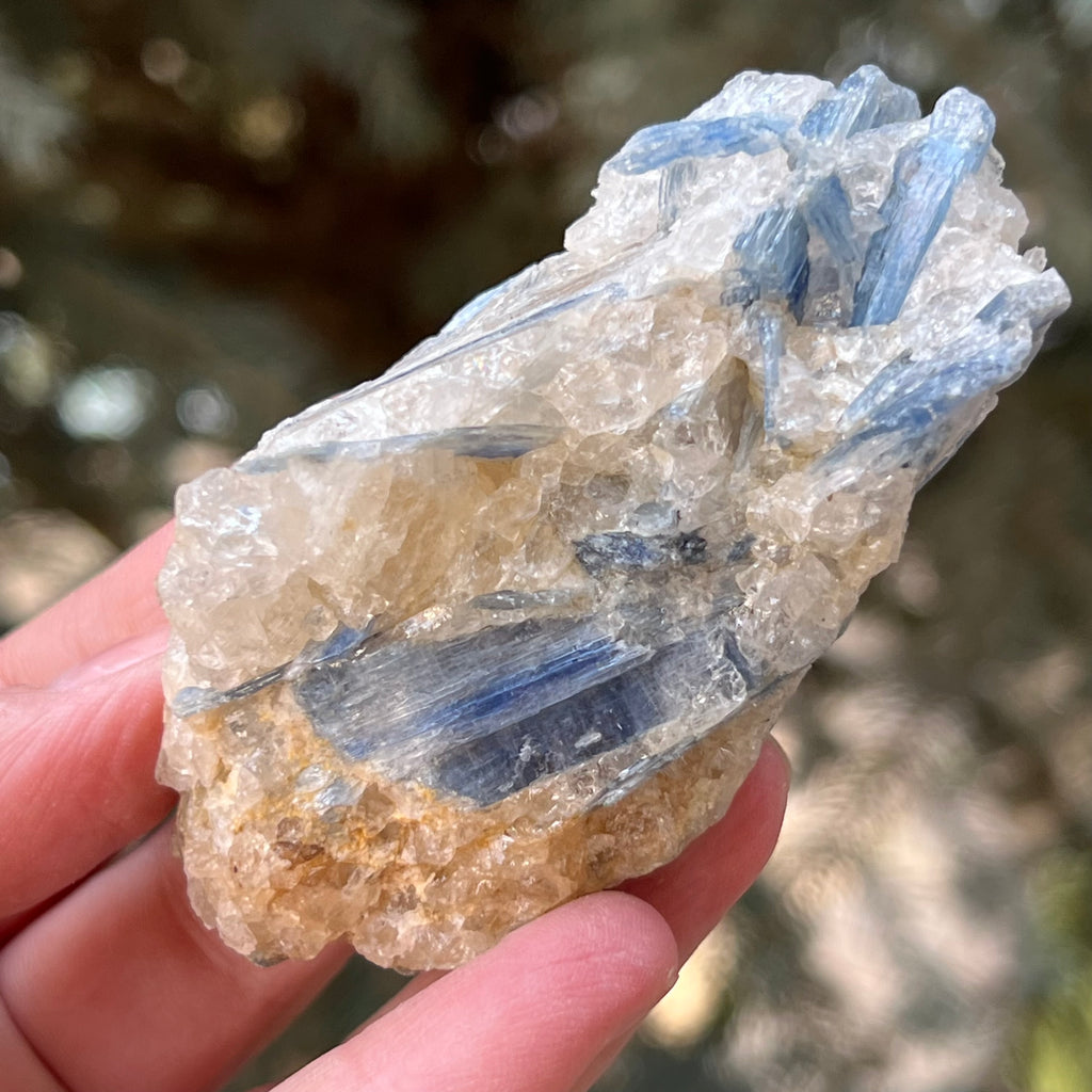 Kianit albastru (Cianit) piatra bruta din Zimbabwe model 12, druzy.ro, cristale 1