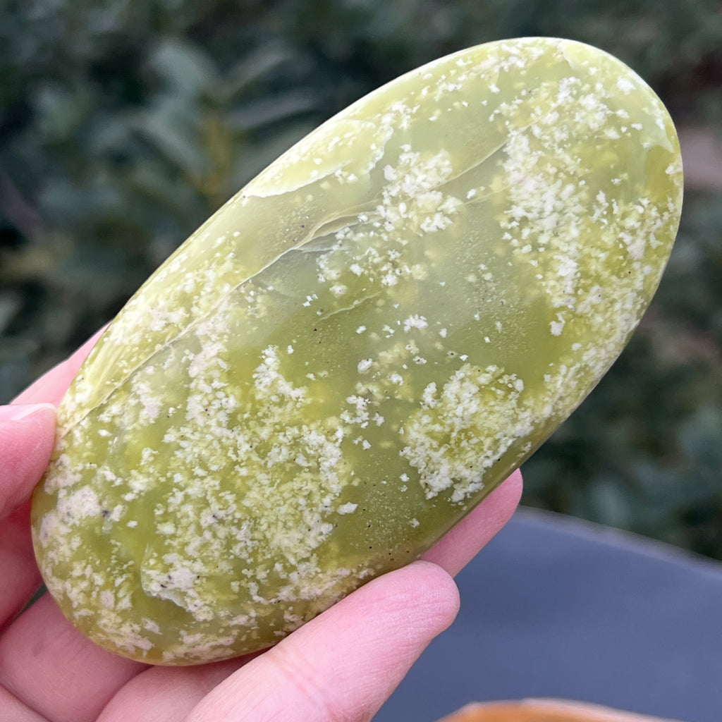 Serpentin galben palmstone XL7, pietre semipretioase - druzy.ro 1 