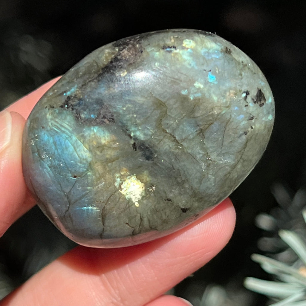 Labradorit palm stone m6, druzy.ro, cristale 5