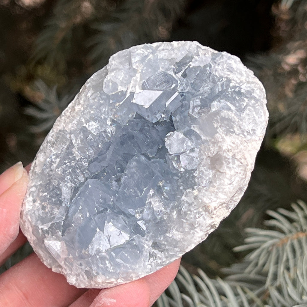 Celestit / celestina cluster m22, pietre semipretioase - druzy.ro 2 