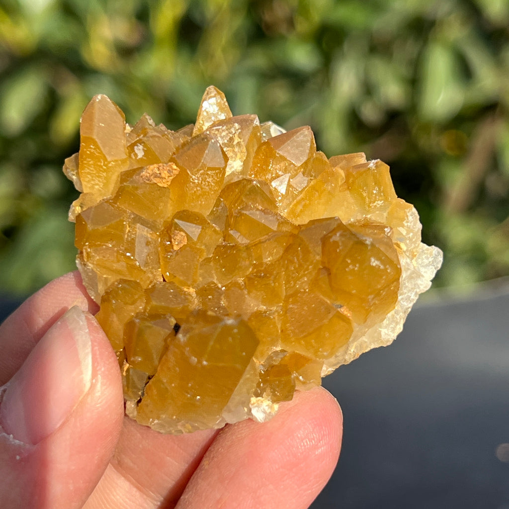 Cluster cuart lamaie Zambia, golden healer model 39, pietre semipretioase - druzy.ro 3 