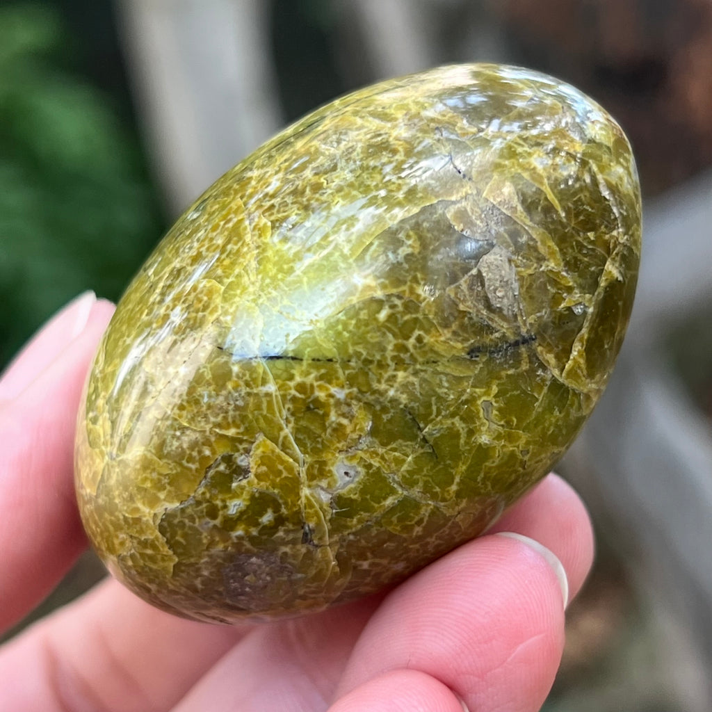 Opal verde palmstone m4, pietre semipretioase - druzy.ro 1 