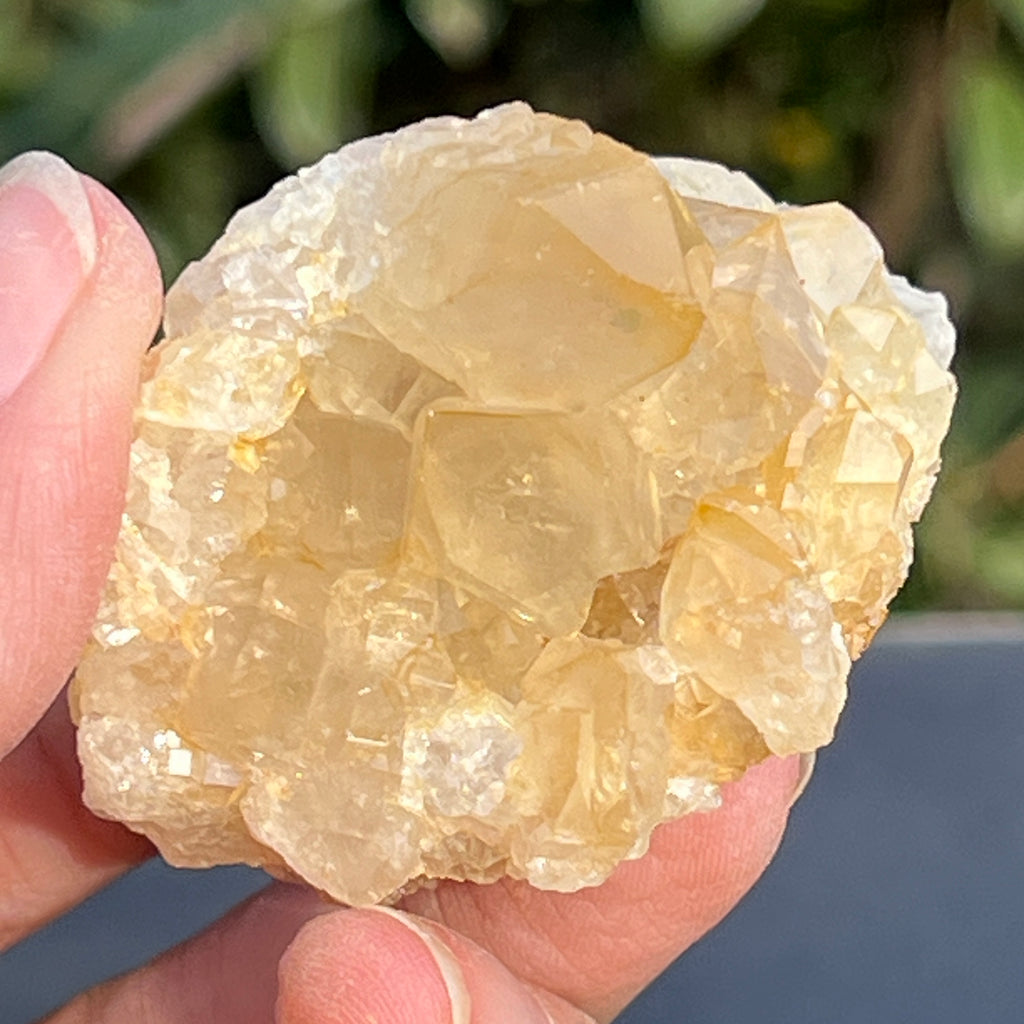 Cluster cuart lamaie Zambia, golden healer model 55, pietre semipretioase - druzy.ro 8 