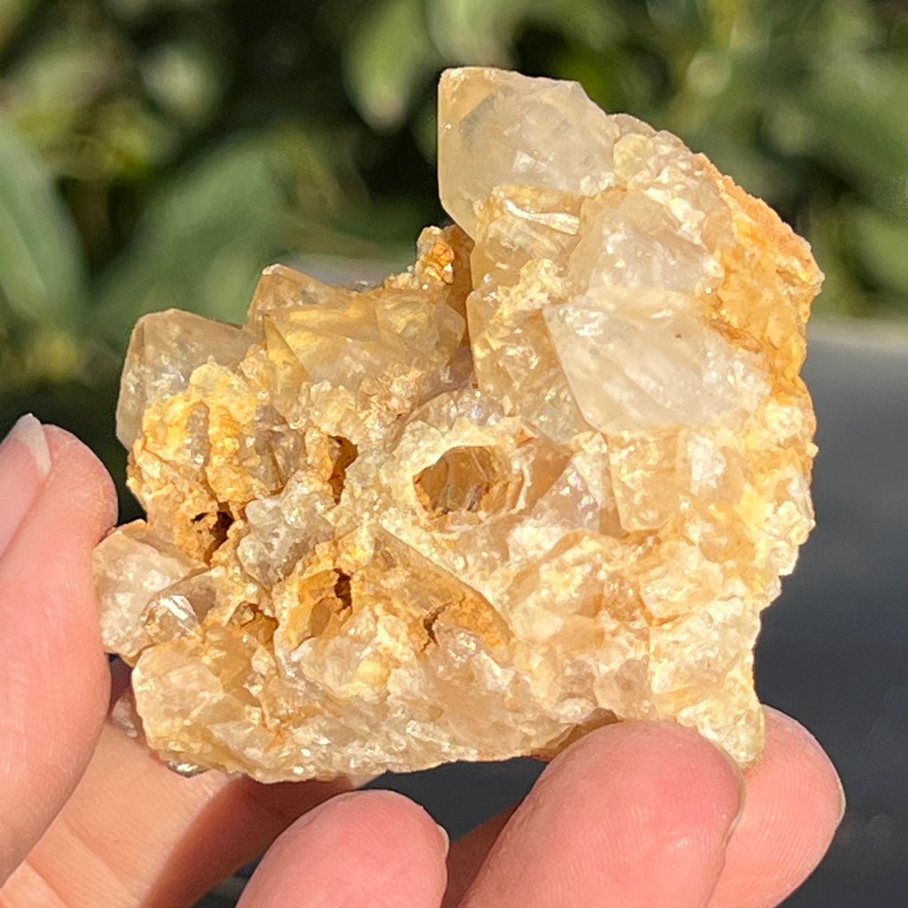 Cluster cuart lamaie Zambia, golden healer model 43, pietre semipretioase - druzy.ro 2 