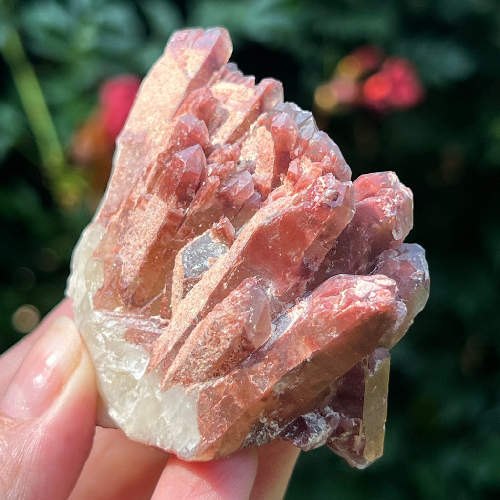 Cluster rosu hematoid din Zimbabwe model 8, pietre semipretioase - druzy.ro 2