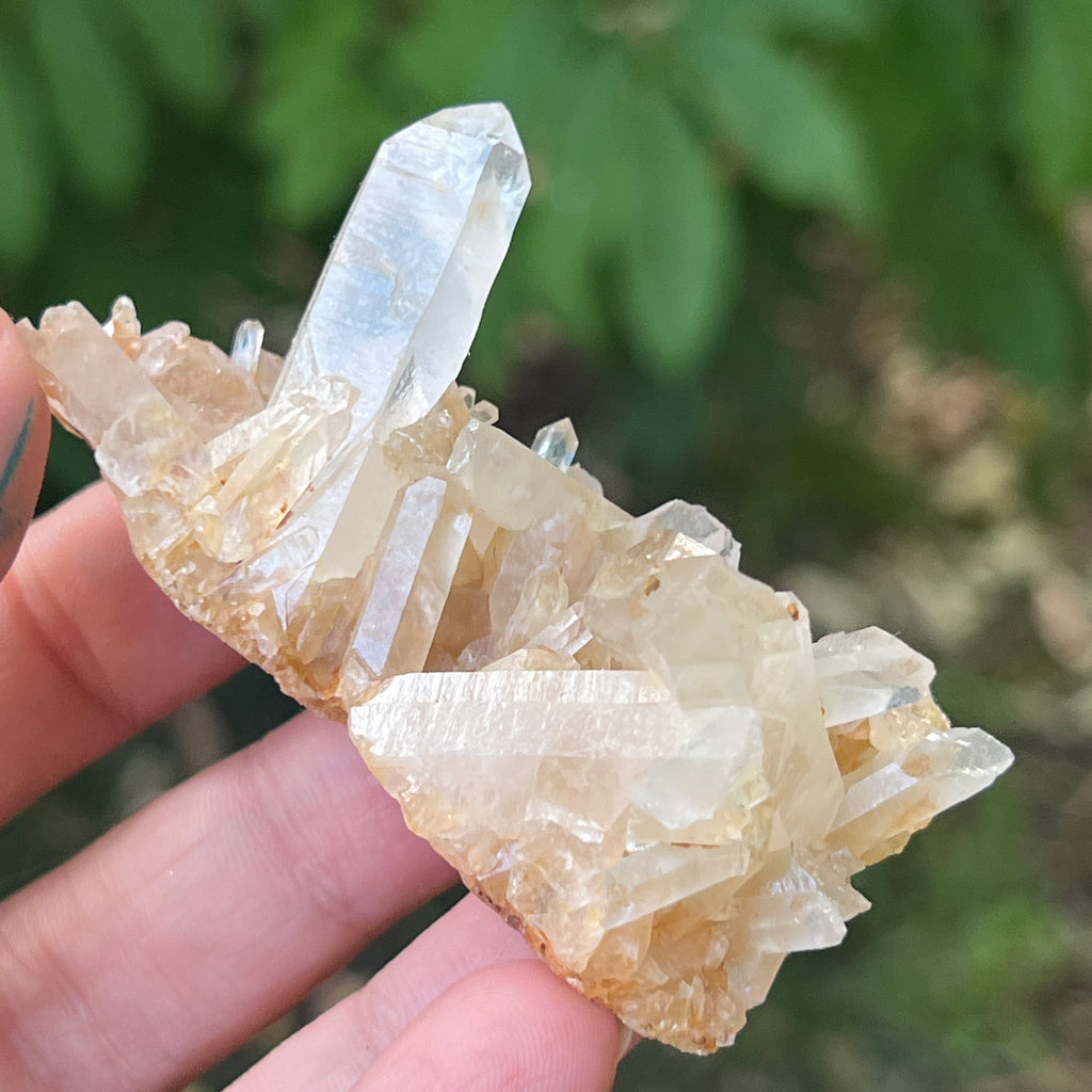 Cluster cuart incolor, floare de mina m14, pietre semipretioase - druzy.ro 1 