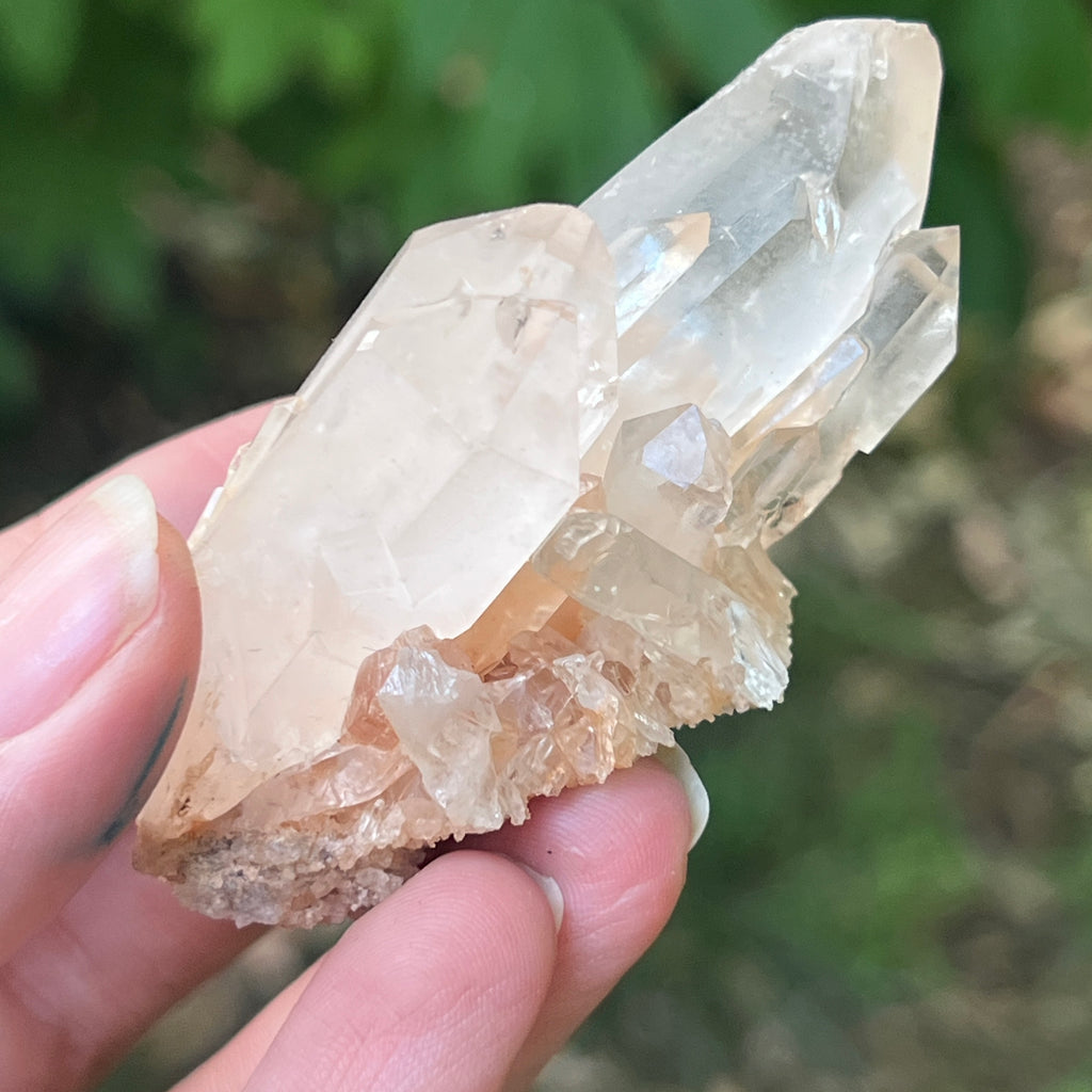 Cluster cuart incolor, floare de mina m19, pietre semipretioase - druzy.ro 3 