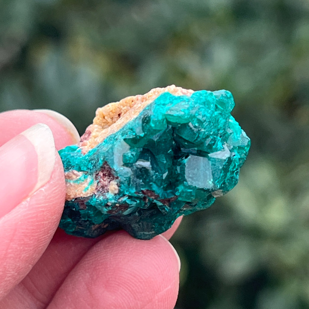 Dioptaz cluster din Congo model 20, pietre semipretioase - druzy.ro 3 