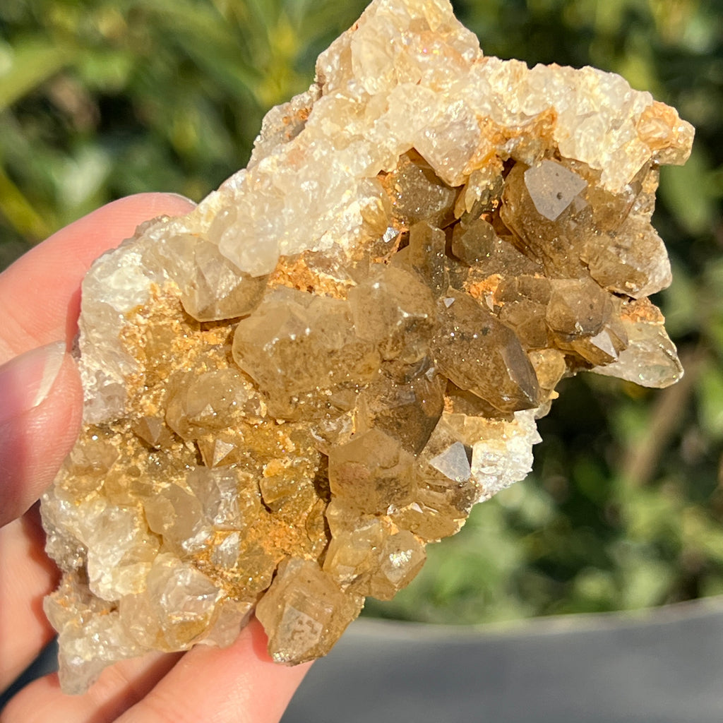 Cluster cuart lamaie Zambia, golden healer model 40, pietre semipretioase - druzy.ro 3 