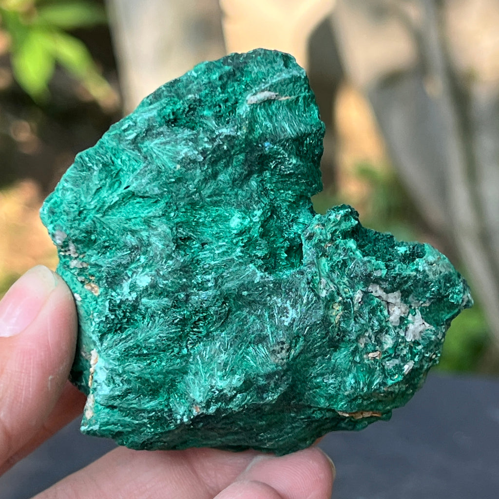 Malachit matasos piatra bruta m16, pietre semipretioase - druzy.ro 2 